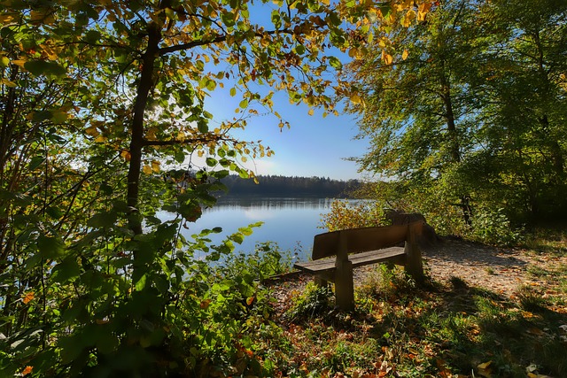又一次站在 又一次站在