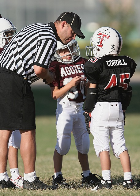 新援融入的 新援融入的